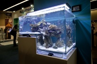 Или двухуровневый морской аквариум на прозрачных "ножках"