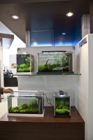 Маленькие аквариумы Hagen Fluval, оформленные в природном стиле
