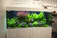 Компания tropica продемонстрировала живые растения в аквариумах, оформленных в стиле Nature aquarium