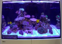 И аквариум Red Sea объемом 400 литров - Max-S400.Следующая выставка Интерзоо пройдет в 2020 году!