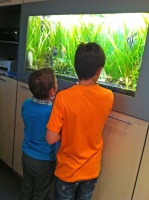 Сначала ребята побывали в салоне и сфотографировались у нестандартных аквариумов