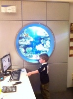 Пора присмотреть рабочее место, например, можно представить себя в кабинете руководителя с аквариумом в стене