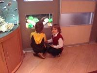 Ребята в у аквариума в шкафу-купе