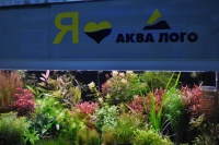 В аквариумных супермаркетах "Аква Лого" всегда в наличии широкий ассортимент аквариумных растений различных видов