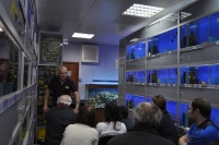 Ведущий мастер-класса рассказывал и показывал весь процесс создания растительного аквариума на конкретных примерах