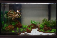 Результат работы специалиста - аквариум с живыми растениями от Tetra