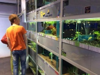 До и после мероприятия у всех его участников была прекрасная возможность ознакомиться с огромным ассортиментом пресноводных обитателей аквариумов, представленным в супермаркете