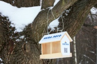 Покормите птиц зимой - сделайте этот мир добрее!