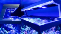 Компания RED SEA представила на выставке свой новый аквариум MAX S с элегантным современным светильником