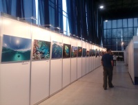 На территории Moscow Dive Show также проходили выставки подводных фотографий и художественных работ