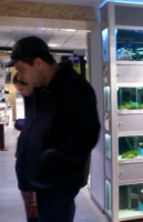 В наших магазинах - огромный выбор живого товара, например, аквариумных растений