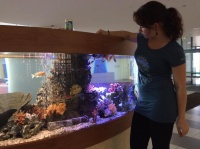 Специалист службы сервиса - Валерия Рыженкова ухаживает за аквариумами центра имени Дмитрия Рогачева уже несколько лет.