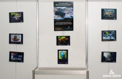 Все работы участников интернет-конкурса были размещены в виде фотовыставки в на стендах в двух павильонах выставки "ПаркЗоо".