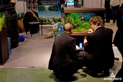Ведущие акваскейперы Павел Баутин, Сергей Светличный и др. совместно с начинающими аквадизайнерами провели мастер-классы по созданию аквариумных пейзажей.