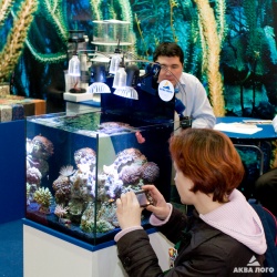 Между прочим, это был единственный морской аквариум на выставке. И расположен он был на стенде оптовой компании "Аква Лого".
