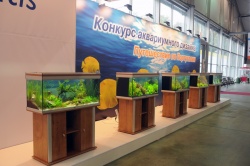 Стенд с конкурсными аквариумами располагался на выставке в павильоне 4.1