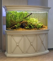 Типовой панорамный аквариум салона "Аква Лого" - АДП-470 прекрасно подходит для оформления живыми растениями