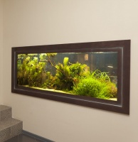 Примеры оформления растительных аквариумов в салоне "Аква Лого на Соколе"