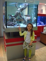 Мелания (7 лет)Нам очень понравился замечательный подводный мир и его обитатели. А также персонал магазина, который очень интересно и доброжелательно рассказал о рыбках.