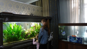 Юные аквариумисты у растительного аквариума, расположенного на первом этаже супермаркета - в зале продажи готовых аквариумов и тумб.