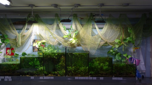 Каскадные системы для содержания пресноводных растений, были специально разработаны для супермаркета Аква Лого на Соколе.