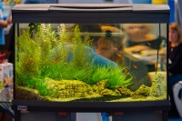 На стенде компании Tetra была представлена целая серия оформленных аквариумов линейки  Aqua ArtФото: Николай Сафонов