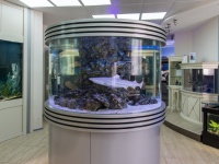 В аквариумных салонах "Аква Лого" представлены образцы различных интерьерных решений, включающих в себя аквариум. Таким образом, слушатели семинара имели возможность увидеть аквариум в интерьере в практическом "разрезе"