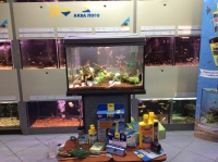 8 октября супермаркет "Аква Лого на Соколе" принимал гостей - ведущих и слушателей мастер-класса по запуску аквариума с живыми растениями от компании Tetra.