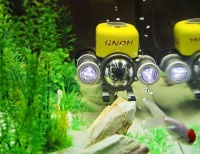 Робот свободно перемещался в аквариуме под управлением опытного специалиста компании "Робототехника"