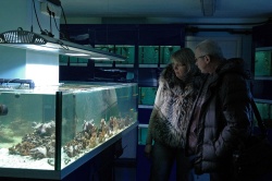 Экскурсия в аквариальную нового магазина
