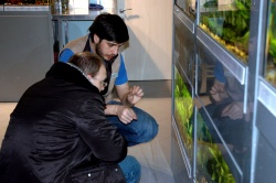 Сотрудник супермаркета Андрей Тихонов рассказывает про ассортимент растений нового магазина