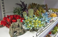 Искусственные кораллы различных цветов и форм