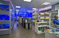 В ассортименте магазина различные виды пресноводных и морских рыб от гуппи до акулы