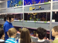 Экскурсовод Ирина Петрова рассказывает ребятам о пресноводных рыбках