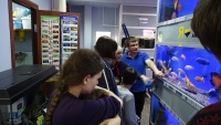 Начало урока аквариумной био-географии в супермаркете. В этом аквариуме цихлиды - обитатели африканских озёр. Начало урока аквариумной био-географии в супермаркете. В этом аквариуме цихлиды - обитатели африканских озёр.