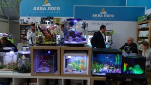 На стенде ОК АКВА ЛОГО было много оформленных небольших аквариумов из различных серий: Prime, Gloxy и новые аквариумы Atman. На стенде ОК АКВА ЛОГО было много оформленных небольших аквариумов из различных серий: Prime, Gloxy и новые аквариумы Atman.
