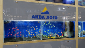 Деревянные аквариумные стойки для продажи рыбы - новая разработка Аква Лого.