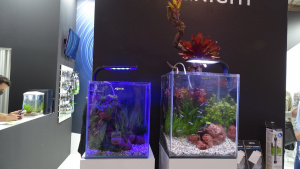 Также были показаны оформленные аквариумы Aquael Shrimp Set SMART LED D/N с новым светодиодным светом, с режимами день/ночь.