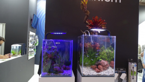 Также были показаны оформленные аквариумы Aquael Shrimp Set SMART LED D/N с новым светодиодным светом, с режимами день/ночь. Также были показаны оформленные аквариумы Aquael Shrimp Set SMART LED D/N с новым светодиодным светом, с режимами день/ночь.