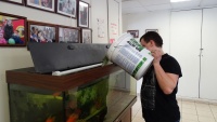 Обязательный этап обслуживания аквариума - подмена воды.