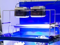 Новые светодиодные светильники для морских (пресноводных) аквариумов мощностью 100 Вт, есть возможность настройки световой температуры от 6500К до почти 20000К