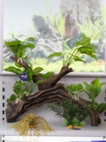 Пластиковые декорации для аквариума, совмещающие в себе растения и коряги