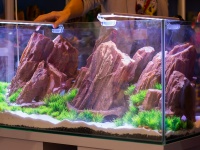 Крупные камни для аквариумов - еще один вариант искусственных декораций