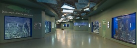 Панорама первого экспозиционного зала со стороны первого аквариума