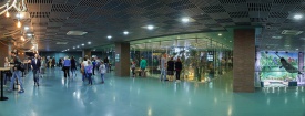 Слева столики кафе «Палуба», в центре за стеклом вид сверху на главный пресноводный аквариум