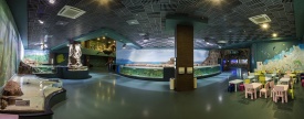 Панорама экспозиции «Мангры и прибрежные мелководья»