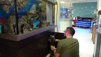 Алексей выполняет монтаж внешнего фильтра. Коммуникации оборудования, расположенного в тумбе, прокладываются через специальные отверстия в дне аквариума.