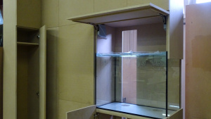 Встраивая аквариум в мебель или стену важно предусмотреть место для оборудования и простор для обслуживания аквариума. И, разумеется, в таком большом шкафу основное пространство предназначено для вещей заказчика.