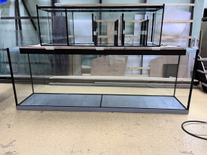 Факт № 8. Аквариумный салон проектирует и изготавливает аквариумы не только для жителей Москвы и Подмосковья. Мы выполняем заказы для всей России. Сейчас на нашем производстве изготавливаются аквариумы для заказчиков из Брянска, Курска и Кирова.