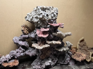 Факт № 6. Декорация из стадонта (химически нейтрального пластика, который не боится ни кислот, ни щелочей) может полностью повторить рельеф уголка кораллового рифа. Наш скульптор использует для ее основы 3-D модель, а для изготовления отдельных элементов - слепки с натуральных живых камней и кораллов, что приближает композицию к естественному рельефу кораллового рифа.